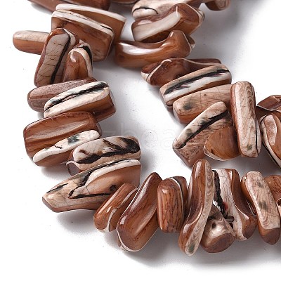 Dyed Natural Trochus Shell Beads Strands SSHEL-C013-09B-1
