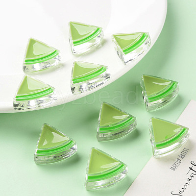 Transparent Enamel Acrylic Beads TACR-S155-001D-1