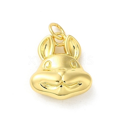 Brass Charms LS-KK-D095-01B-G-1