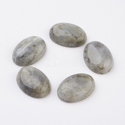 Natural Labradorite Flat Back Cabochons X-G-G741-18x25mm-18-1