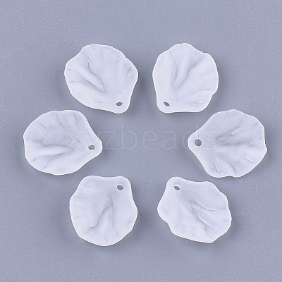 Transparent Acrylic Pendants FACR-T001-13-1