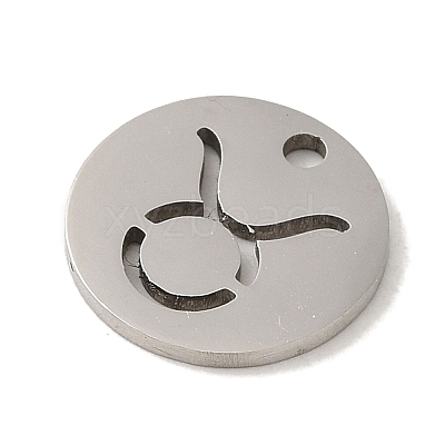 Non-Tarnish 201 Stainless Steel Charms STAS-E217-10P-02-1