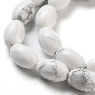Natural Howlite Beads Strands G-B106-B25-01-1
