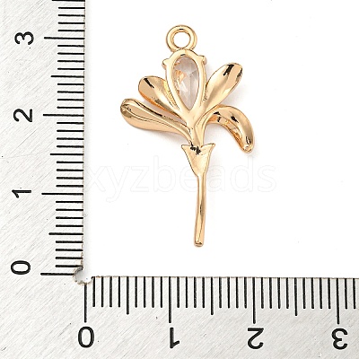Brass Micro Pave Clear Cubic Zirconia Pendants LS-ZIRC-U003-01G-04-1