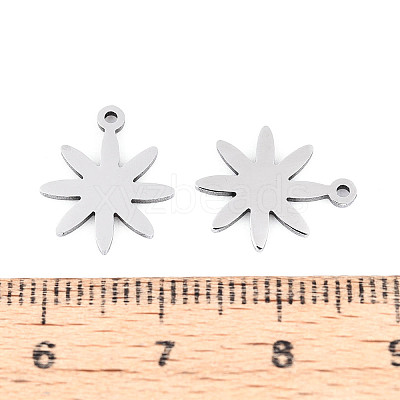 304 Stainless Steel Charms STAS-P433-03P-1