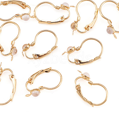 10Pcs Flat Round Brass Glass Leverback Earring Findings KK-TADJ0001-18-1