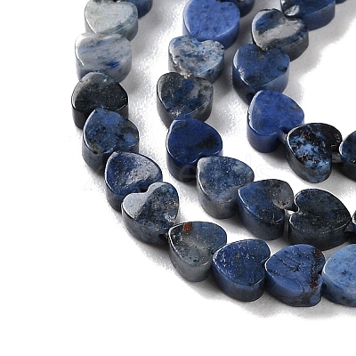 Natural Sodalite Beads Strands G-M403-A08-01-1