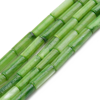 Natural Freshwater Shell Beads Strand SHEL-T017-40-1