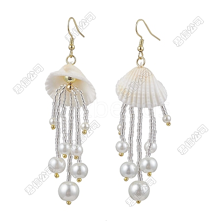 Handmade Seed Beads Tassel Dangle Earrings EJEW-FS00074-1