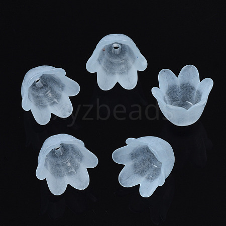 Transparent Acrylic Bead Caps FACR-N005-002D-1