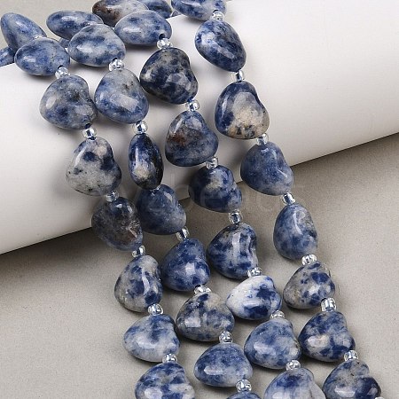 Natural Blue Spot Jasper Beads Strands G-NH0069-A08-1