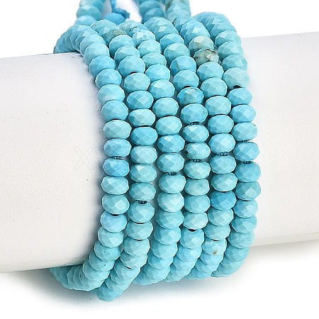 Dyed Natural Howlite Beads Strands G-H070-A03-01-1