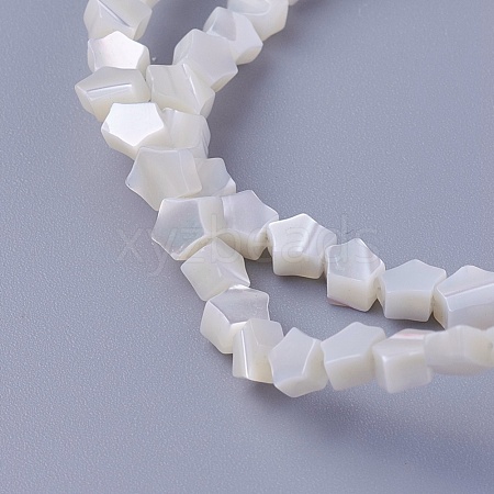 Shell Beads Strands SSHEL-E571-27A-1