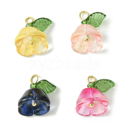 Transparent Acrylic Pendants PALLOY-TA00093-1