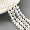 Natural Cultured Freshwater Pearl Beads Strands PEAR-A006-07F-2