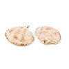 Natural Sea Shell Pendants SSHEL-N038-16-2