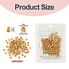 Picasso Glass Seed Beads SEED-TADJ0001-05E-3