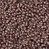 MIYUKI Round Rocailles Beads SEED-JP0008-RR0337-3