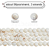 CHGCRAFT 3 Strands Natural Freshwater Shell Beads Strands SHEL-CA0001-007-2