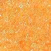 Glass Seed Beads X-SEED-S042-13A-05-3