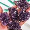 Natural Amethyst Irregular Raw Druzy Display Decorations PW-WG85295-01-2