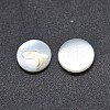 Shell Cabochons SSHEL-E568-A11-1