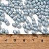 Baking Painted Glass Seed Beads SEED-C004-04H-4