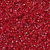 MIYUKI Delica Beads X-SEED-J020-DB0214-3