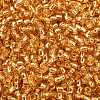 TOHO 8/0 Round Beads SEED-XTR08-0022B-2