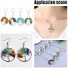 ARRICRAFT 24Pcs 6 Styles Natural Mixed Gemstone European Dangle Charms PALLOY-AR0001-36-6