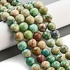 Natural Peruvian Turquoise(Jasper) Beads Strands G-Z062-A01-02-2