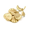 Alloy Brooches JEWB-I034-28G-02-2