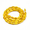 Natural Freshwater Shell Beads Strands SHEL-N026-212-B06-2