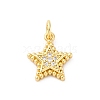 Brass Micro Pave Cubic Zirconia Charms KK-S510-11G-1