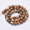 Natural Picture Jasper Beads Strands X-G-S281-01-8mm-2