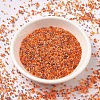 MIYUKI Delica Beads SEED-J020-DB2062-2