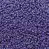MIYUKI Round Rocailles Beads X-SEED-G008-RR0432-3