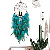 Woven Net/Web with Feather Pendant Decoration PW-WG30130-04-1