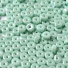 Opaque Colours Luster Glass Seed Beads SEED-E001-P3x6mm-A03-3