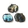 Natural Labradorite Carved Cabochons G-C152-11-1