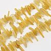 Natural Citrine Beads Strands G-L464-16-1