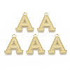 Alloy Pendants LS-PALLOY-N157-002A-NR-1