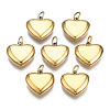 316 Surgical Stainless Steel Charms STAS-N097-045-1