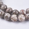 Natural Maifanite/Maifan Stone Beads Strands G-I187-6mm-01-4