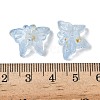 Glass Beads GLAA-C039-01B-3