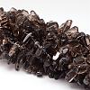 Natural Smoky Quartz Beads Strands G-K115-06-1