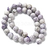 Natural Purple Turquoise Beads Strands G-L595-C04-03-3