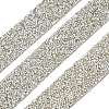 Glitter Resin Hotfix Rhinestone(Hot Melt Adhesive On The Back) OCOR-XCP0002-34-2