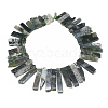 Natural Moss Agate Beads Strands X-G-S318-01-2