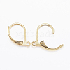 304 Stainless Steel Leverback Earring Findings STAS-L190-14G-2